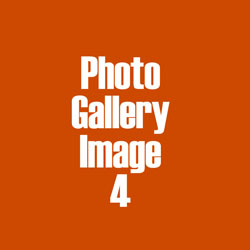 Photo Gallery Image 4