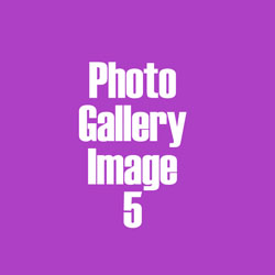 Photo Gallery Image 5